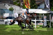 ref. photo 3286648