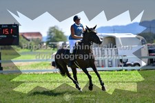 ref. photo 3286650