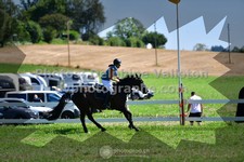 ref. photo 3286654