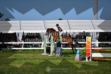 ref. photo 3286745
