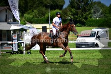 ref. photo 3286781