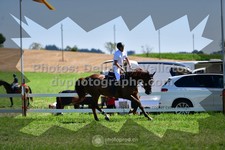 ref. photo 3286786