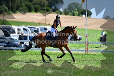 ref. photo 3286888
