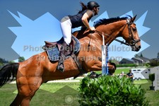ref. photo 3286892