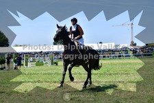 ref. photo 3286900