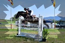 ref. photo 3286904