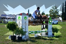 ref. photo 3286914