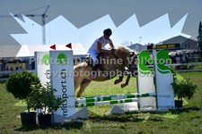 ref. photo 3286923