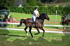 ref. photo 3286977