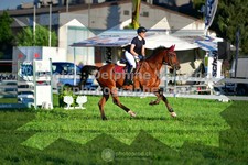ref. photo 3286985