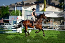ref. photo 3287002