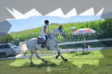 ref. photo 3287025