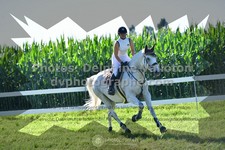 ref. photo 3287027