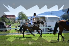 ref. photo 3287033