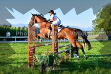ref. photo 3287044
