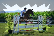 ref. photo 3287048