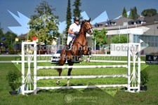 ref. photo 3287050