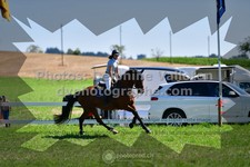 ref. photo 3287057