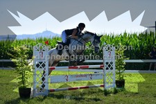 ref. photo 3287090