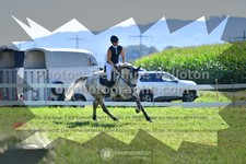 ref. photo 3287096