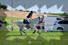 ref. photo 3287113