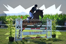 ref. photo 3287141