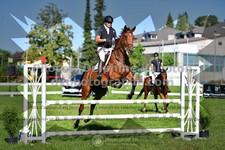 ref. photo 3287143