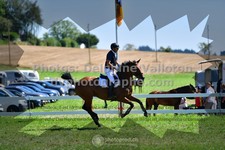 ref. photo 3287151