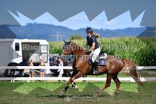 ref. photo 3287153