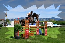 ref. photo 3287179