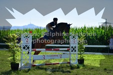 ref. photo 3287191