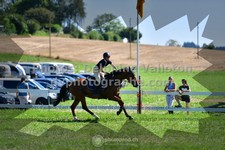 ref. photo 3287202