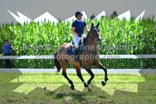 ref. photo 3287234