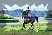 ref. photo 3287246