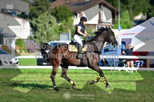 ref. photo 3287338