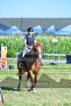 ref. photo 3287368