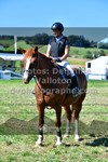 ref. photo 3287382