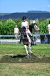 ref. photo 3287399