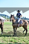 ref. photo 3287419
