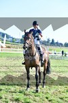 ref. photo 3287420