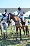 ref. photo 3287452