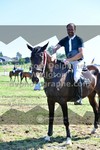 ref. photo 3287497