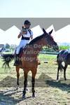 ref. photo 3287500