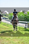 ref. photo 3287528