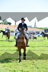 ref. photo 3287613