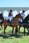 ref. photo 3287685