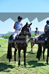 ref. photo 3287689