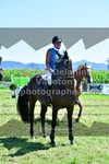 ref. photo 3287690