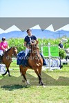 ref. photo 3287705