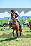 ref. photo 3287707